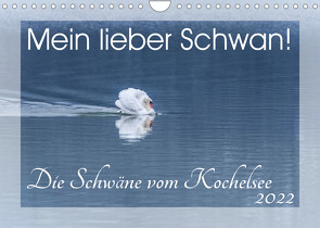 Mein lieber Schwan! Die Schwäne vom Kochelsee. (Wandkalender 2022 DIN A4 quer) von van der Wiel www.kalender-atelier.de,  Irma