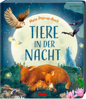 Mein Pop-up-Buch – Tiere in der Nacht von Davies,  Becky, Paulussen,  Lara, Storch,  Imke