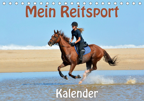 Mein Reitsport Kalender (Tischkalender 2021 DIN A5 quer) von van Wyk - www.germanpix.net,  Anke