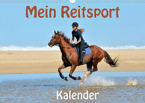 Mein Reitsport Kalender (Wandkalender 2021 DIN A3 quer) von van Wyk - www.germanpix.net,  Anke