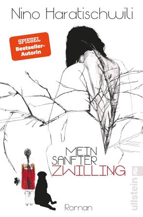 Mein sanfter Zwilling von Haratischwili,  Nino