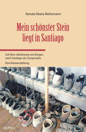 Mein schönster Stein liegt in Santiago von Riehemann,  Renate Maria