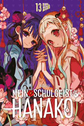 Mein Schulgeist Hanako 13 von AidaIro, Tabuchi,  Etsuko, Weitschies,  Florian