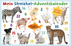 Mein Streichel-Adventskalender