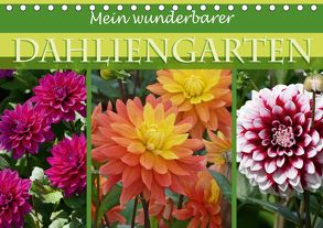 Mein wunderbarer Dahliengarten (Tischkalender 2018 DIN A5 quer) von B-B Müller,  Christine