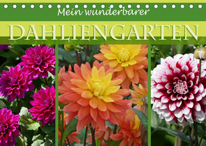 Mein wunderbarer Dahliengarten (Tischkalender 2023 DIN A5 quer) von B-B Müller,  Christine