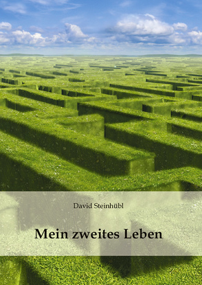 Mein zweites Leben von Steinhübl,  David