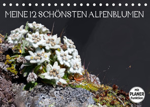 Meine 12 schönsten AlpenblumenAT-Version (Tischkalender 2022 DIN A5 quer) von Kramer,  Christa