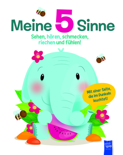 Meine 5 Sinne – Sehen, hören, schmecken, riechen und fühlen!