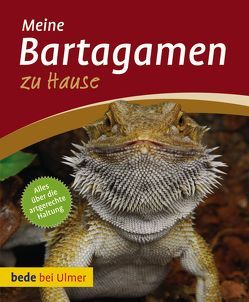 Meine Bartagamen zu Hause von Preißer,  Werner