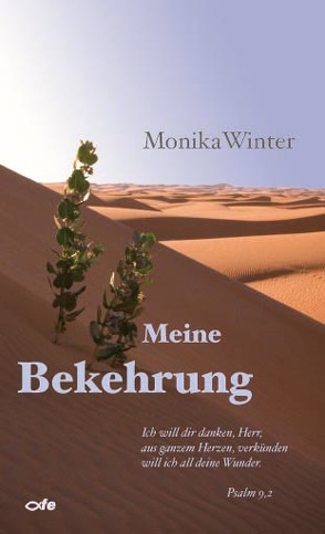 Meine Bekehrung von Winter,  Monika