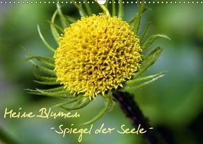 Meine Blumen – Spiegel der Seele (Wandkalender 2018 DIN A3 quer) von Wandt,  Stefanie