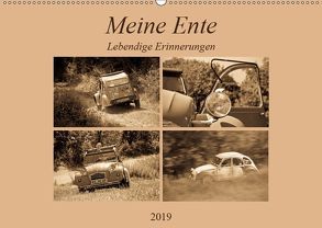 Meine Ente – Lebendige Erinnerungen (Wandkalender 2019 DIN A2 quer) von Bölts,  Meike