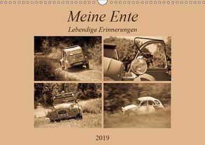 Meine Ente – Lebendige Erinnerungen (Wandkalender 2019 DIN A3 quer) von Bölts,  Meike