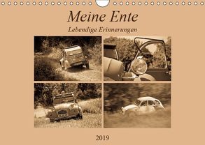 Meine Ente – Lebendige Erinnerungen (Wandkalender 2019 DIN A4 quer) von Bölts,  Meike