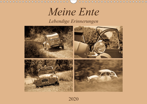 Meine Ente – Lebendige Erinnerungen (Wandkalender 2020 DIN A3 quer) von Bölts,  Meike