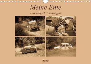 Meine Ente – Lebendige Erinnerungen (Wandkalender 2020 DIN A4 quer) von Bölts,  Meike