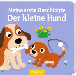 Meine erste Geschichte Der kleine Hund von Choux,  Nathalie