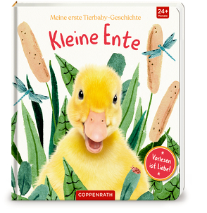 Meine erste Tierbaby-Geschichte: Kleine Ente von Chu,  Vikki, Winnel,  Bec, Wood,  Amanda