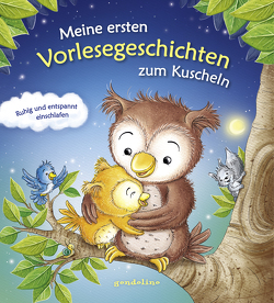 Meine ersten Vorlesegeschichten zum Kuscheln – Ruhig und entspannt einschlafen von Cuno-Pöhlmann,  Sabine, Dahle,  Stefanie, Flad,  Antje, Göritz,  Kathrin M., Grimm,  Sandra, Rachner,  Marina, Reider,  Katja, Roth,  Sarah, Schuld,  Kerstin M., Voigt,  Silke, Wittenburg,  Christiane