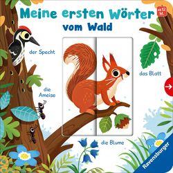 Meine ersten Wörter vom Wald – Sprechen lernen mit großen Schiebern und Sachwissen für Kinder ab 12 Monaten von Frank,  Cornelia, Scott,  Matthew