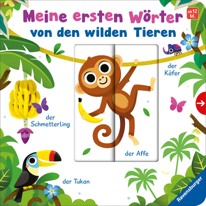 Meine ersten Wörter von den wilden Tieren – Sprechen lernen mit großen Schiebern und Sachwissen für Kinder ab 12 Monaten von Rulff,  Mila, Scott,  Matthew