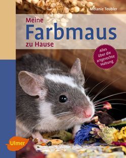 Meine Farbmaus zu Hause von Teubler,  Melanie