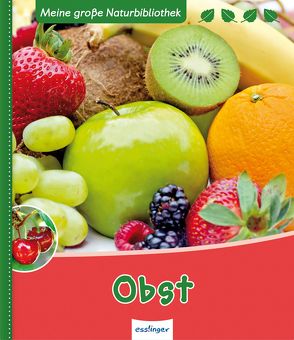 Meine große Naturbibliothek: Obst von Ernsten,  Svenja