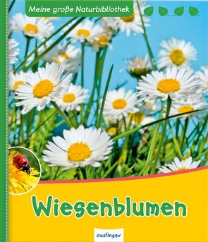 Meine große Naturbibliothek: Wiesenblumen von Ernsten,  Svenja