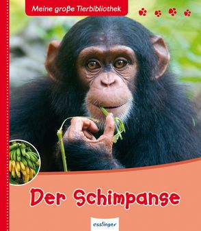 Meine große Tierbibliothek: Der Schimpanse von Brauner,  Anne, Frattini,  Stéphane