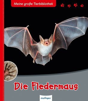 Meine große Tierbibliothek: Die Fledermaus von Möller,  Antje, Poschadel,  Dr. Jens