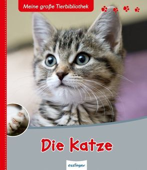 Meine große Tierbibliothek: Die Katze von Frattini,  Stéphane