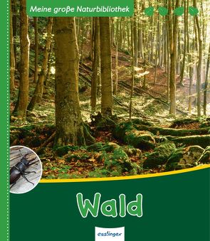 Meine große Naturbibliothek: Wald von Zysk,  Stefanie