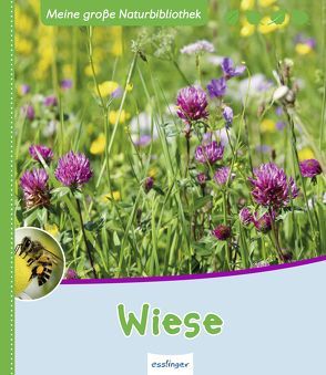 Meine große Naturbibliothek: Wiese von Zysk,  Stefanie