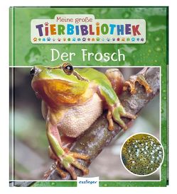 Meine große Tierbibliothek: Der Frosch von Starosta,  Paul