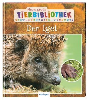 Meine große Tierbibliothek: Der Igel von Tracqui,  Valérie