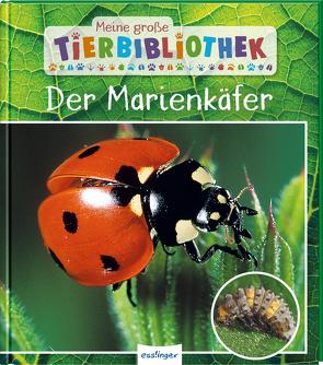 Meine große Tierbibliothek: Der Marienkäfer von Tracqui,  Valérie