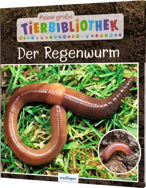 Meine große Tierbibliothek: Der Regenwurm von Tracqui,  Valérie