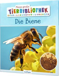 Meine große Tierbibliothek: Die Biene von Starosta,  Paul