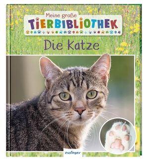 Meine große Tierbibliothek: Die Katze von Ledu-Frattini,  Stéphanie