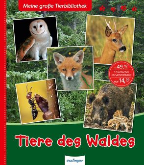 Meine große Tierbibliothek: Tiere des Waldes von Gomel,  Luc, Gutjahr,  Axel, Havard,  Christian, Hédelin,  Pascale, Poschadel,  Dr. Jens