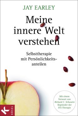 Meine innere Welt verstehen von Earley,  Jay, Kleinschmidt,  Bernhard