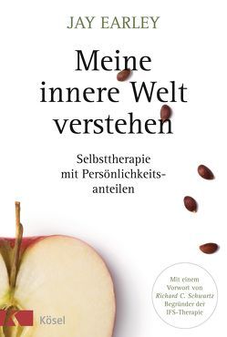 Meine innere Welt verstehen von Earley,  Jay, Kleinschmidt,  Bernhard