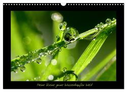 Meine kleine grüne Wassertropfen Welt (Wandkalender 2024 DIN A3 quer), CALVENDO Monatskalender von Siebenhühner,  Gabi