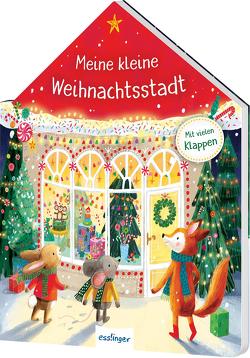 Meine kleine Weihnachtsstadt von Jatkowska,  Ag, Ottenschläger,  Madlen