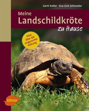 Meine Landschildkröte zu Hause von Keller,  Gerti, Schneider,  Eva-Grit