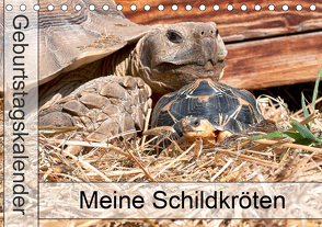 Meine Schildkröten – Geburtstagskalender (Tischkalender 2021 DIN A5 quer) von Sixt,  Marion