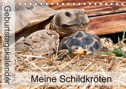 Meine Schildkröten – Geburtstagskalender (Tischkalender 2023 DIN A5 quer) von Sixt,  Marion