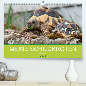 Meine Schildkröten (Premium, hochwertiger DIN A2 Wandkalender 2023, Kunstdruck in Hochglanz) von Sixt,  Marion