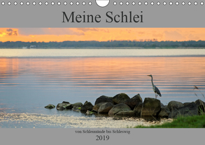 Meine Schlei 2019 (Wandkalender 2019 DIN A4 quer) von Sörnsen,  Jochen